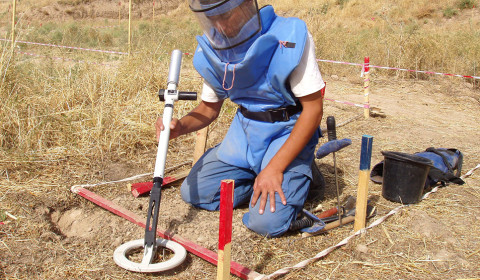 EOD and Demining